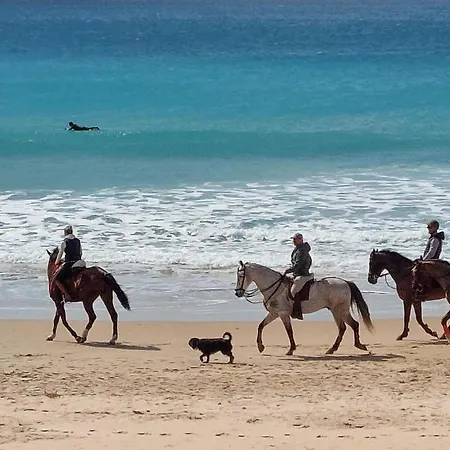 Stunning In Chiclana de la Frontera